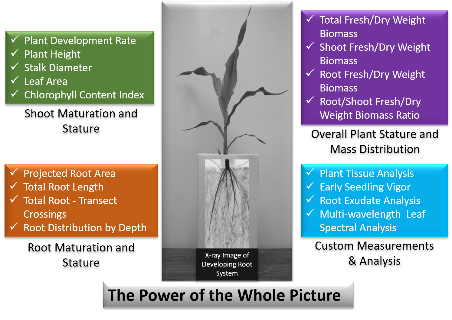 image - The Power of the Whole Picture